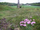 Greby gravflt (grave field)
