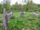 Das jungsteinzeitliche Steinplattengrab und drei Hinkelsteine