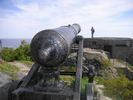 Old cannon