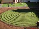 das Labyrinth ist grün