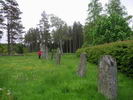 The row of 9 standing stones