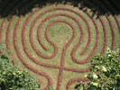 das Labyrinth aus Rindenmulch